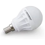 LED sijalica ESPERANZA, G45 E14 5W, warm white, A+, 480 lm, ELL115
