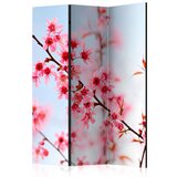  Paravan u 3 dijela - Symbol of Japan - sakura flowers [Room Dividers] 135x172 | shoptok.hr
