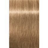 Schwarzkopf Professional IGORA Royal barva za lase odtenek 8-4 Light Blonde Beige 60 ml | Shoptok.si