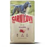 Carnilove Dog True Fresh Adult Large, briketi - raca 4 kg | Shoptok.si