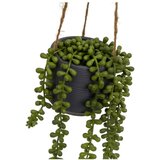 Casa Selección Umjetna biljka (visina 37 cm) Senecio – | shoptok.hr
