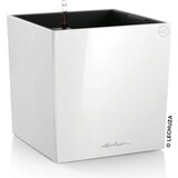 LECHUZA CUBE okrasni lonec komplet-set, bela - Bela visok sijaj Cene