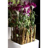 DEGARDO Lonec za rože, TREVIA V, VxŠxG 700 x 360 x 360 mm, bele barve | Shoptok.si