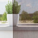 Voile zavjese s gornjim jezičkom 2 kom smeđe | Shoptok.si