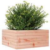  Vrtna sadilica 50 x 50 x 23 cm od masivnog drva duglazije | shoptok.hr