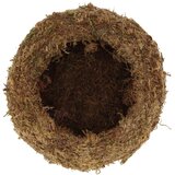 Esschert Design Posuda za cvijeće ø 20 cm Kokedama – | shoptok.hr