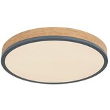 Globo STROPNA LED-SVETILKA //2700-6500 K/230 V/ | Shoptok.si