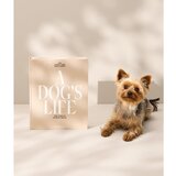 Printworks Foto album A Dog's Life – | Shoptok.si