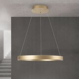  orion- led prigušiva luster na sajli kolk LED/60W/230V 2700/3000/4000K prečnik 60 cm zlatna | Eponuda.com