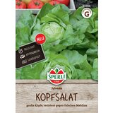  Glavnata solata "Sylvesta" - 1 pkt. u