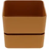 Saksija Veleta 12 Curry fi12cm Narandžasta