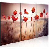  Slika - Bright red poppies 60x40 Cijene