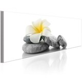  Slika - White Lotus 120x40 Cijene