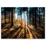 Styler Slika Glasspik Autumn Sunset, 70 x 100 cm Cene