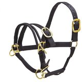 Zaldi T+T Ular za konje sa duplim kaišem crni Cob | Eponuda.com