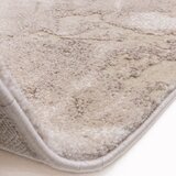 Asiatic Carpets Bež preproga 200x290 cm Mirage Haze – | Shoptok.si