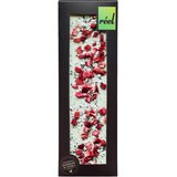  Reel Bela Čokolada Tamjanika 115g(BW306) Cene