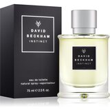 David Beckham Instinct toaletna voda 75 ml za moške | Shoptok.si