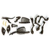 Clementoni Set za sastavljanje skeleta sabljozubog tigra – Smilodon | shoptok.hr