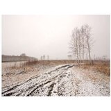  Tapeta - Winter field 200x154 | shoptok.hr