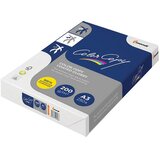  PAPIR LK COLOR COPY COATED SJAJNI 200G A3 PK250 | Shoptok.si