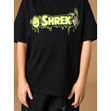 Sinsay Majica kratkih rukava Shrek | shoptok.hr