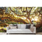 Wallity Tapete za zid MDK-00116, 400x270 cm, Šarena | Eponuda.com