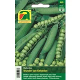 Grah "Wunder von Kelvedon"