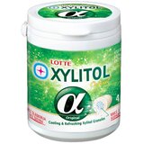 Lotte xylitol original 41 kom | ePonuda.com