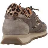 Cetti C1259SRA INV26 Smeđa | shoptok.hr