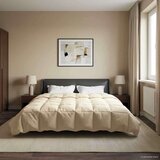  Poletna odeja Šonerisan krema 220 x 240 cm Mikrovlakna, (5000284319) | Shoptok.si