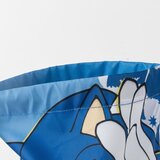 Sonic Saco the Hedgehog 33cm | shoptok.hr