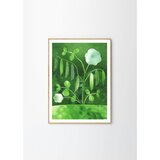 The Poster Club Plakat 50x70 cm Peas in Bloom – Anna Ravn Bjørn – | Shoptok.si