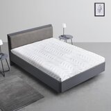 Bessagi Home Oblazinjena Postelja Mariello, Antracit, Rjava, 140x200 | Shoptok.si