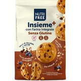 Nutri Free Biskvit keks sa komadiućima čokolade i kandiranim voćem 250g Cene