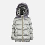 Geox Silver Backsie Girls' Jacket - Girls | Shoptok.si