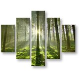  Slike na platnu drveće (moderne slike na platnu) | ePonuda.com