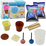  Edukativni set za uzgoj kristalnog drva | Shoptok.si