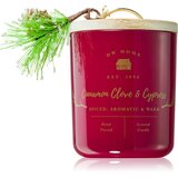 DW Home Farmhouse Cinnamon Clove & Cypress mirisna svijeća 244 g | shoptok.hr