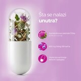Yamamoto Sily CAPS Milk Thistle 60 kapsula | Eponuda.com