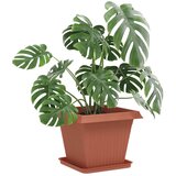  Saksije za biljke 24 pcs Crvena cigla 38 x 38 x 30 cm Plastika | shoptok.hr