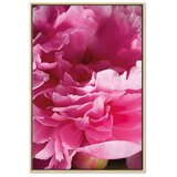 Slika - Blossom of Beauty (1-part) - Pink Peony Flower Embraced by Nature 60x90 | shoptok.hr