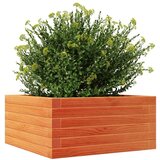  Vrtno cvetlično korito voščeno rjavo 50x50x23 cm trdna borovina | Shoptok.si