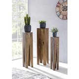 MID.YOU Set Mizic Za Rože Kada | Shoptok.si