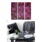 Wallity Set slika MDF3720228, 3 dijela | Eponuda.ba