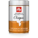 Illy kafa Zrno Arabica ETHIOPIA 250g Cene