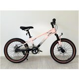 Winner Bike dečiji bicikl 20" QL BCK0800 | ePonuda.com
