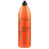 Prosalon Regenerator za kosu sa arganovim uljem ORANGE LINE ARGAN OIL 500g