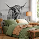 Artgeist Foto tapeta - Highland Cattle 200x140 Standard | shoptok.hr
