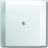 Busch-Jaeger Centralni disk aws 1749-74, (20891782) Cene